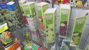 2206.  Покупаем саженцы роз,гортензий и ...