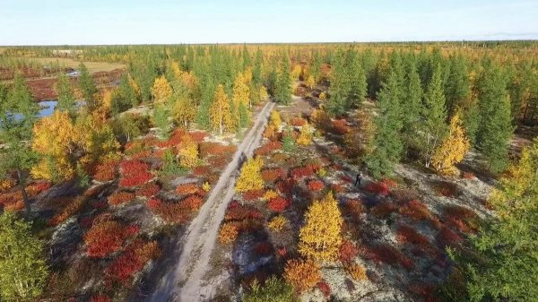 Воздушная симфония Ямала: кадры с дрона