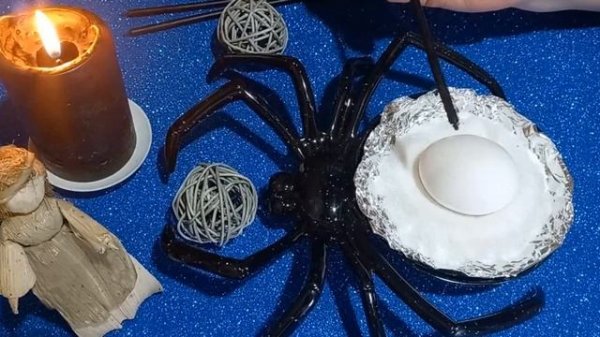 ОТ ПАУЧЕЙ ПОРЧИ И ПАУТИНЫ В ЖИЗНИ.