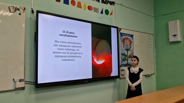 конференция, Лиза.mp4