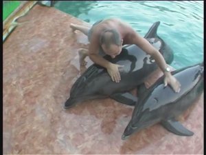 В Ялтинском дельфинарии. Wreсk.