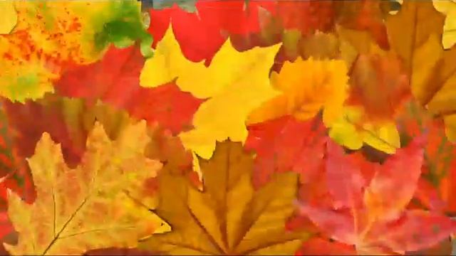 Бабье лето от Ольги Топильской смотреть онлайн