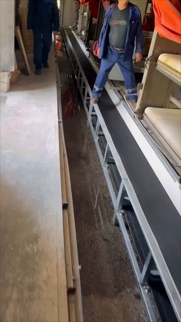 VID_20260211_143607 смотреть онлайн