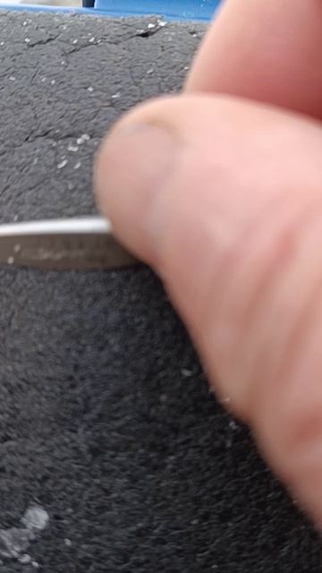 1000004288.mp4Костромское море смотреть онлайн