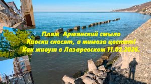Пляж Армянский смыло, киоски сносят а мимоза цветет! Лазаревское 11.02.2026.