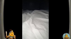 Гугу Гага в моем доме! О нет! что мне делать?