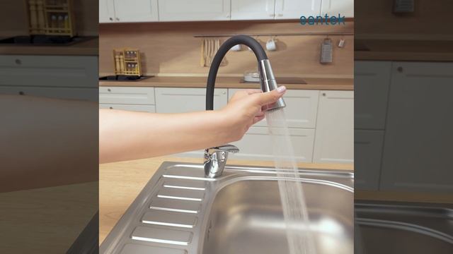 Смеситель для кухни Santek Мавис WH5A44011C001 с гибким изливом, хром