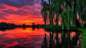 Александр Серов - Как быть (cover)