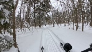 Покатушки по лесу на буксировщиках Ижтехмаш