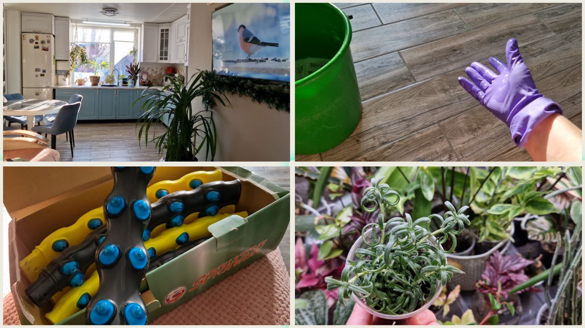 Почти генеральная уборка. Ненужные вещи. Укоренила розмарин и бегонию. смотреть онлайн