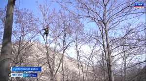 КНВ на агульском языке 11.02.26 г.