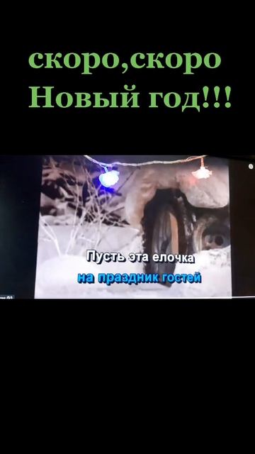 Ёлочка- ёлка