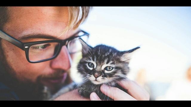 Любимый хозяин