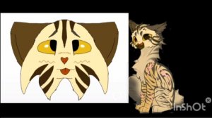 Наконец Арктики💚💙🖤💜💛🤎❤💛💚🖤