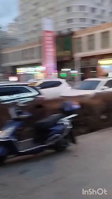 китай.маньчжурия! смотреть онлайн