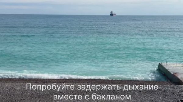 Баклан на охоте. Давайте поохотимся  вместе с ним - задержите дыхание и ныряйте под воду.