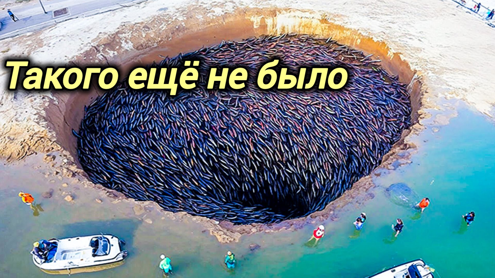 Сегодня. 11.02.2026. ЧП. КАТАКЛИЗМЫ. КАТАСТРОФЫ, ПРОИСШЕСТВИЯ ЗА ДЕНЬ. новости дня. СЕГОДНЯ смотреть онлайн