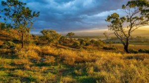 Обсуждение_темы___Страдания_и_последствия_греха_в_притче_о_блудном