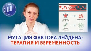 Мутация фактора Лейдена гомозигота и гетерозигота: беременность, тромбозы, лекарственные препараты.