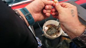 За камбалой на мыс Лисученко.Приморский край