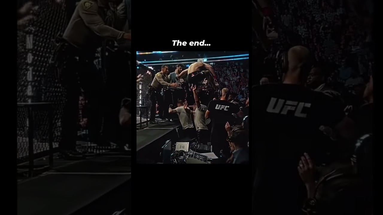 The end Бой между Хабибом Нурмагомедовым и Конором Макгрегором состоялся смотреть онлайн