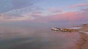 11-02-2026 Это какое то Чудо на Азовском море #Голубицкая