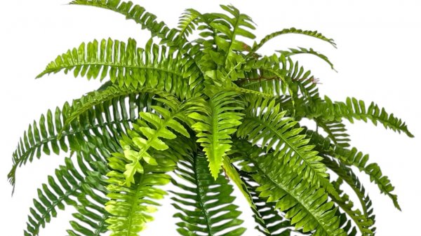 copy_67B65839-CD3C-4C52-A696-B407DDAE1EA6