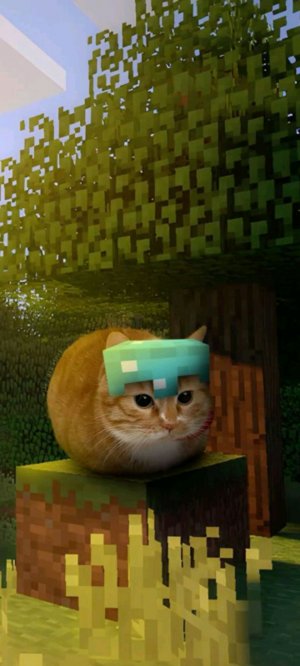 Хади ваги вернулся