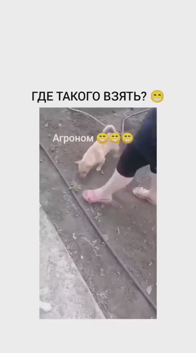 Ко мне на дачу его смотреть онлайн