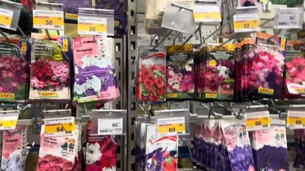 С Девочками поехали на Шопинг