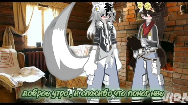 Гача дорама Название: одинокий лис и милый медведь 🥺 #Гача #фильм смотреть онлайн