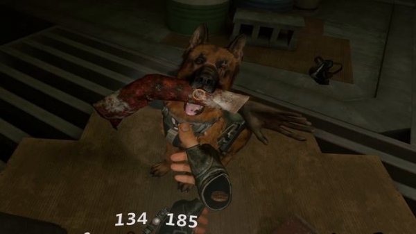 Arizona sunshine 2. Part 2.