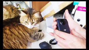 OSMO 360.Распаковка и немного информации