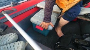 Приморский край, мыс Поворотный , Треска