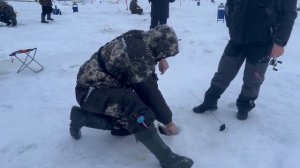 Запуск и поимки форели