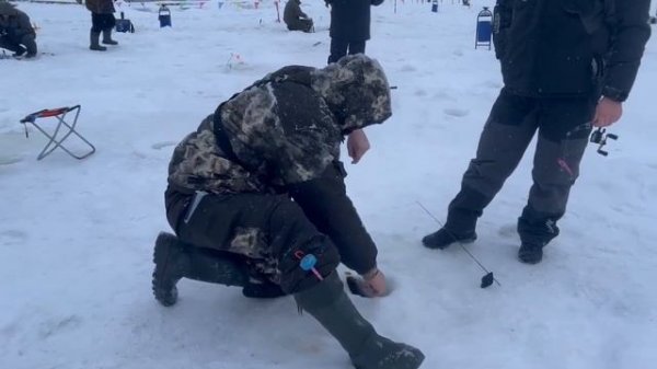 Запуск и поимки форели