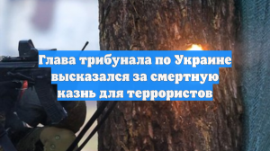 Глава трибунала по Украине высказался за смертную казнь для террористов