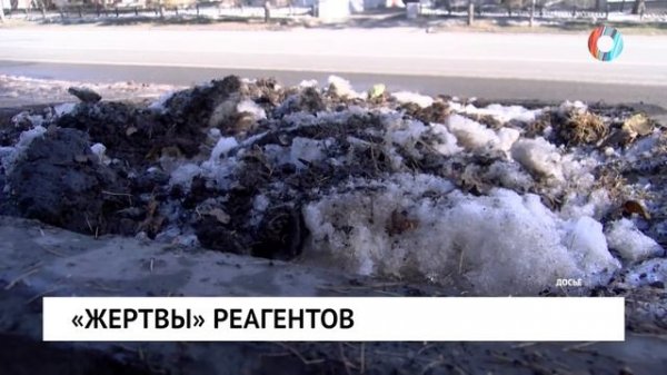 Новости от 11.02.2026