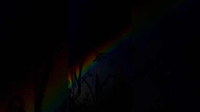 ЭДС моей любви — Emily Jane B.