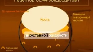 Нильс Душек о том как работает Билурон