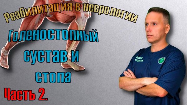 Почему подворачивается стопа при ходьбе после инсульта. Часть 2.