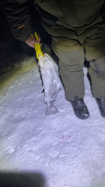 11-02-2026 смотреть онлайн