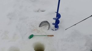 VID_20260211_211028_538