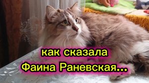 КОШКИ С ОЗВУЧКОЙ.