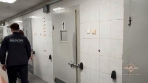 Ирина Волк: Полиция задержала участников группы, инсценировавшей ДТП для получения страховых выплат