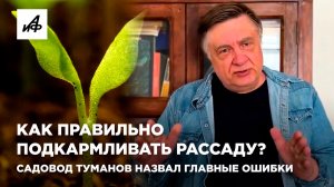 Как правильно подкармливать рассаду? Садовод Туманов назвал главные ошибки