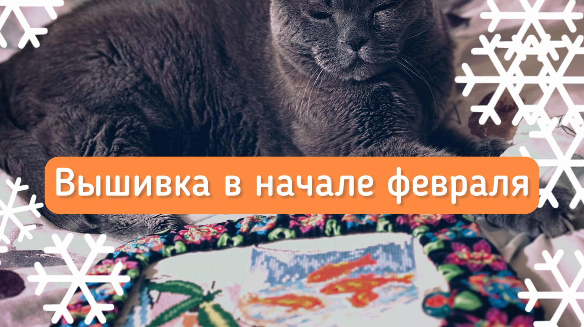 Вышивка в начале февраля-финиш зайки и хорошие продвижения смотреть онлайн