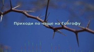 Приходи по чаще на Голгофу / С помощью ИИ