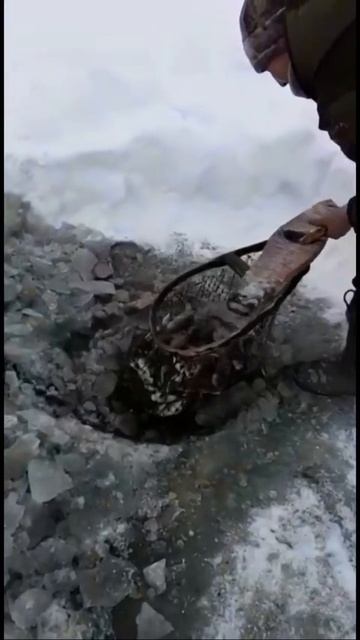 РЫБАЛКА САЧКОМ ТОЛЬКО В ЯКУТИИ смотреть онлайн