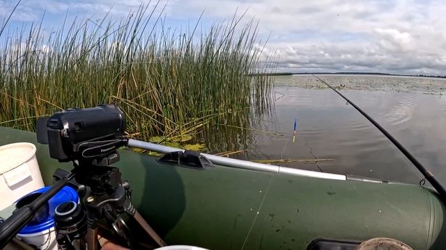 Рыбалка с лодки в камышах !!! РЫБАЛКА на ПОПЛАВОК на Карася! смотреть онлайн
